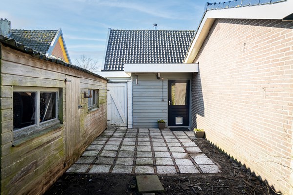Tuin 2.jpg